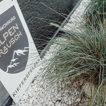Daire Alpenrausch 3 Kiefersfelden